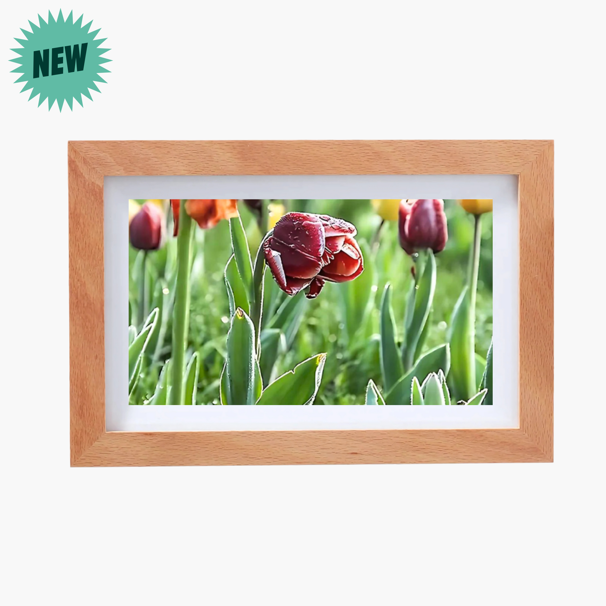 Wooden Video Frame