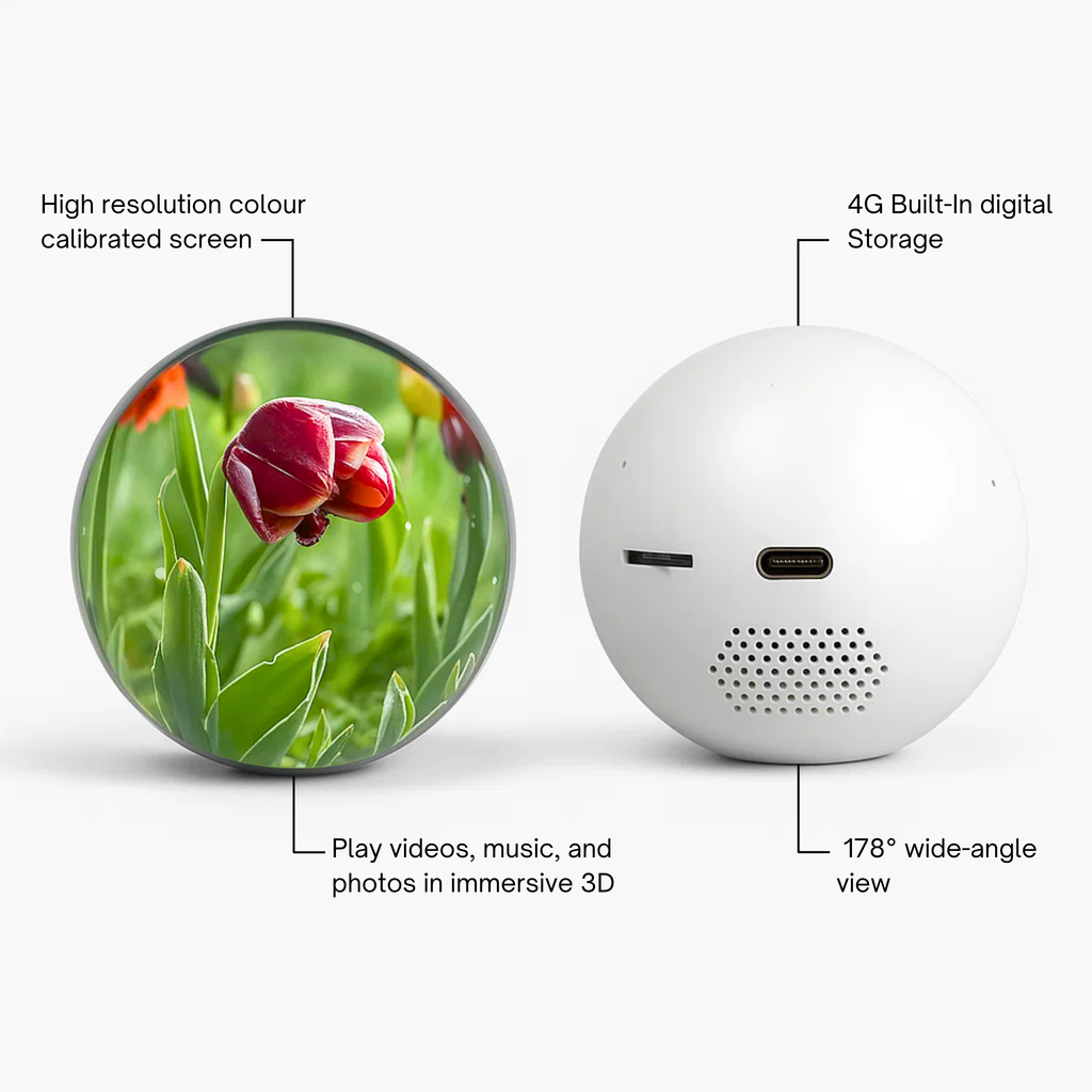 Video Globe