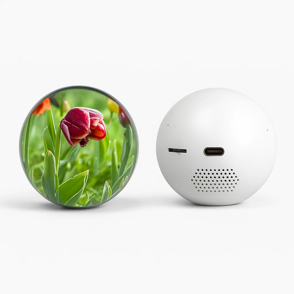 Video Globe