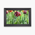 Digital Video Frame