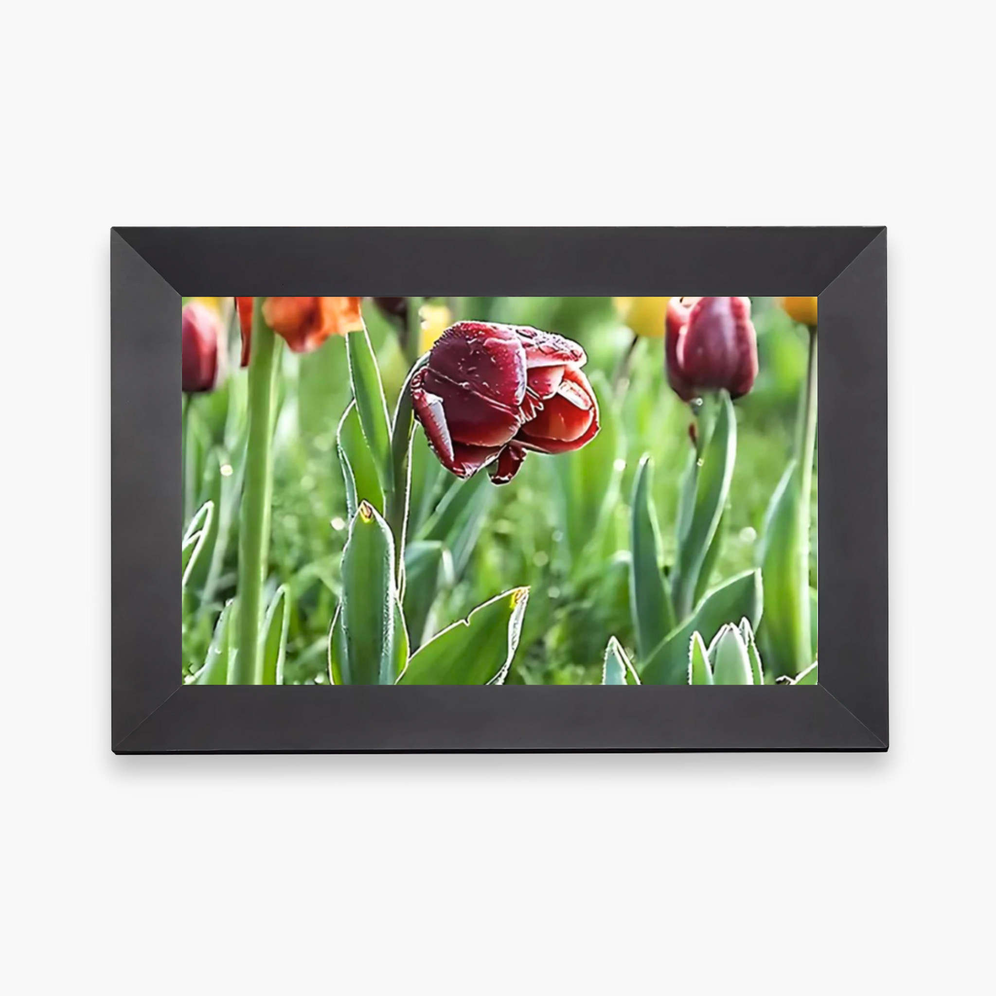 Digital Video Frame