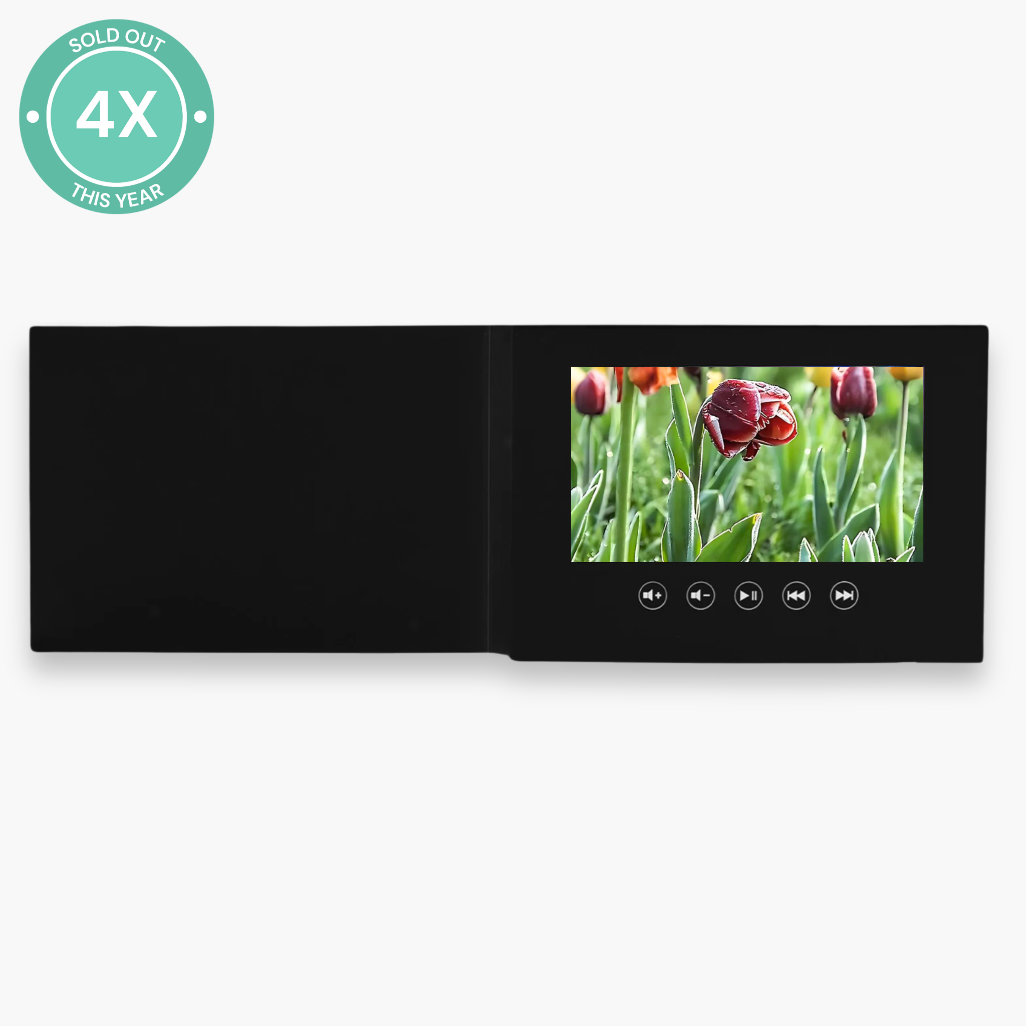 Video Card